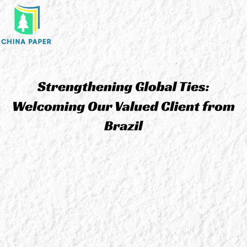 Verstärkung der globalen Beziehungen: Willkommen unser wertvoller Kunde aus Brasilien