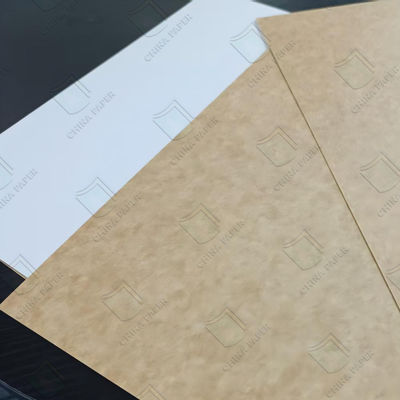 Qualität Lebensmittelqualität Beschichtet Kraft Backboard CKB Feuchtigkeitsdicht 600x900mm 700x1000mm usine